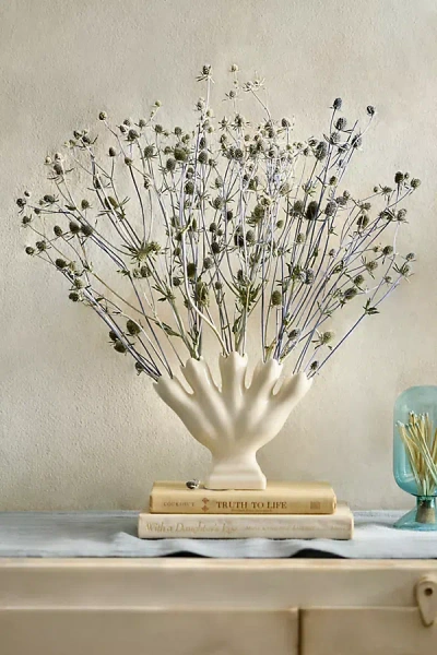 Terrain Dried Sea Holly Bunch In Multi