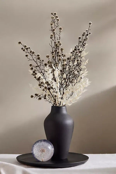 Terrain Dried Stirlingia Bunch In Black