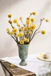 Terrain Dried Strawflower Bunch