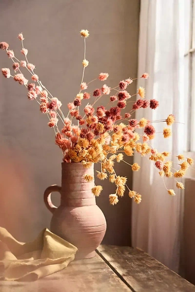 Terrain Dried Weeping Bamboo Bunch