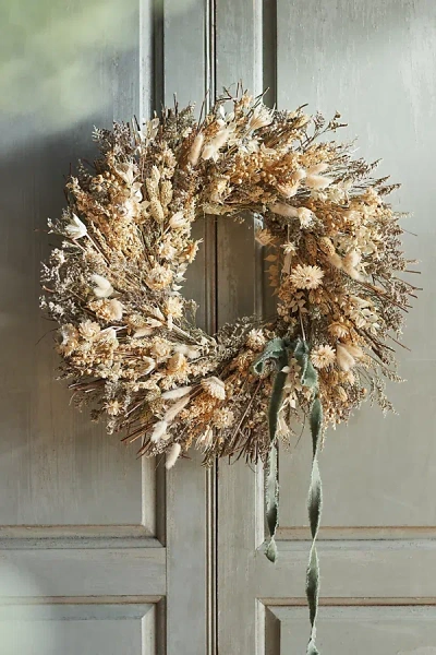 Terrain Dried White Florals Wreath In Multi