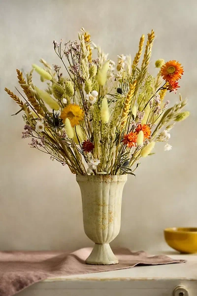 Terrain Dutch Field Mix Dried Bouquet, Spring