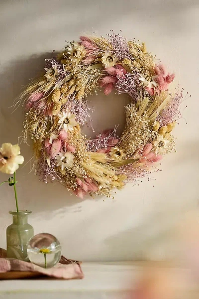 Terrain Dutch Field Mix Dried Wreath, Blush In Neutral