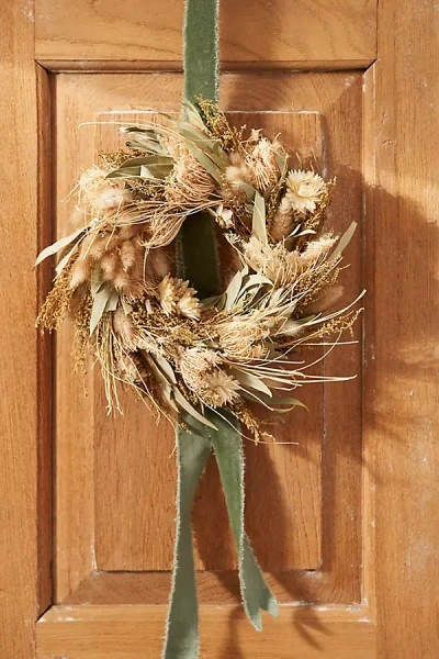 Terrain Dutch Field Mix Dried Wreath, Green