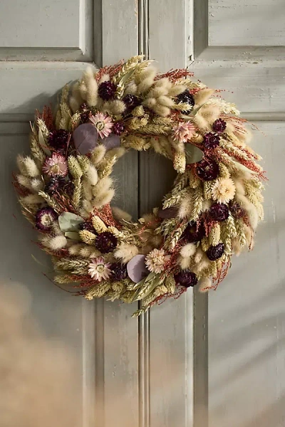 Terrain Dutch Field Mix Dried Wreath, Pink