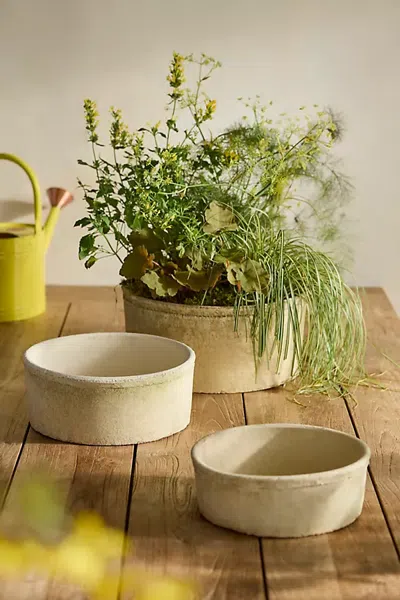 Terrain Earth Fired Clay Cylinder Bowl Planter In Multi