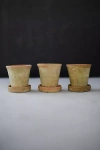 Terrain Earth Fired Clay Herb Pot + Saucer, Set Of 3