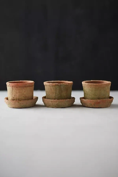 Terrain Earth Fired Clay Mini Pot + Saucer, Set Of 3 In Brown