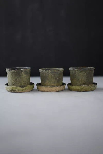 Terrain Earth Fired Clay Mini Pot + Saucer, Set Of 3 In Green
