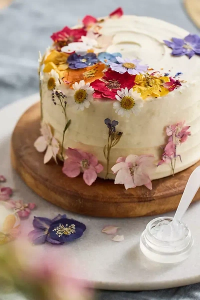 Terrain Edible Flower Cake Decorating Kit In Multi