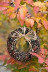 Terrain Edible Seed Pecan Wreath In Multi