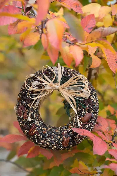 TERRAIN Edible Seed Pecan Wreath