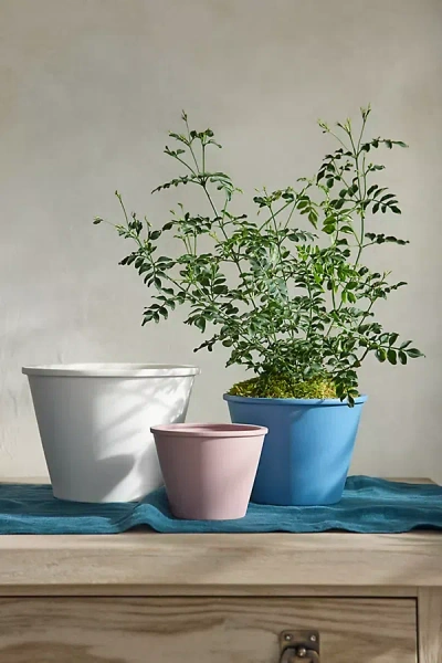 Terrain Eliza Ceramic Planter
