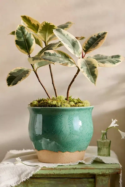 Terrain Emerald Ceramic Flare Planter