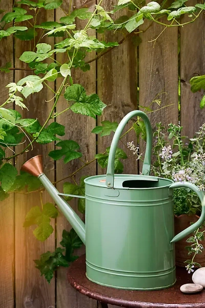 Terrain Enameled Iron 2 Gallon Watering Can In Green