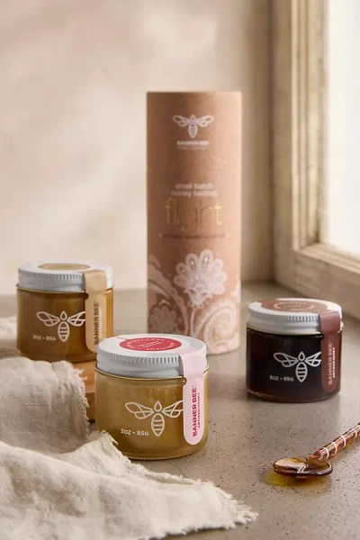 Terrain Energize Honey Tasting Flight, Set Of 3 In Multi
