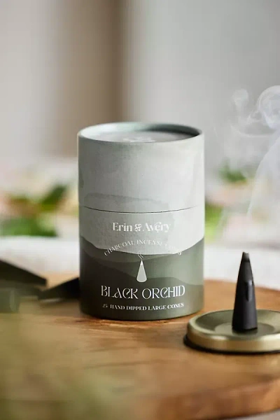 Terrain Incense Cones, Set Of 25 In Gray