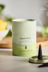 Terrain Incense Cones, Set Of 25 In Green