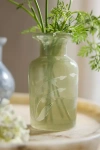 Terrain Etched Glass Bud Vase