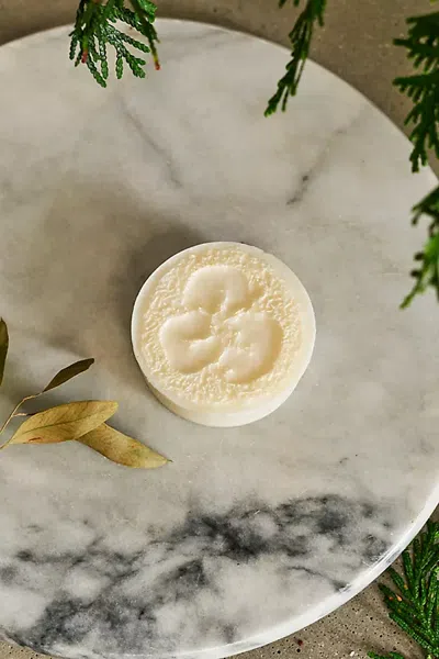 Terrain Eucalyptus + Peppermint Exfoliant Body Bar In Multicolor