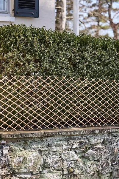 Terrain Expandable Woven Willow Lattice Fencing In Multi