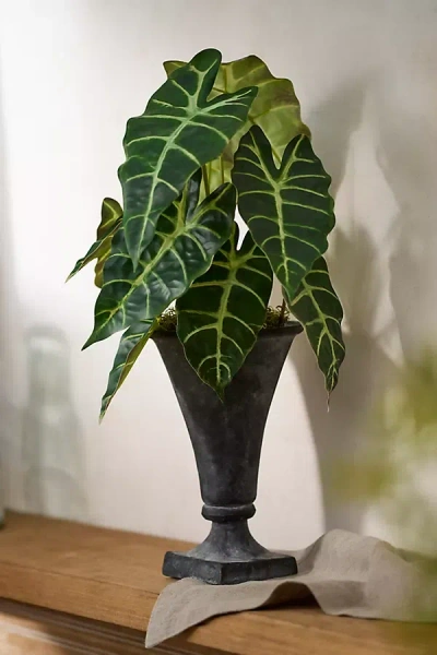 Terrain Faux Alocasia Bush