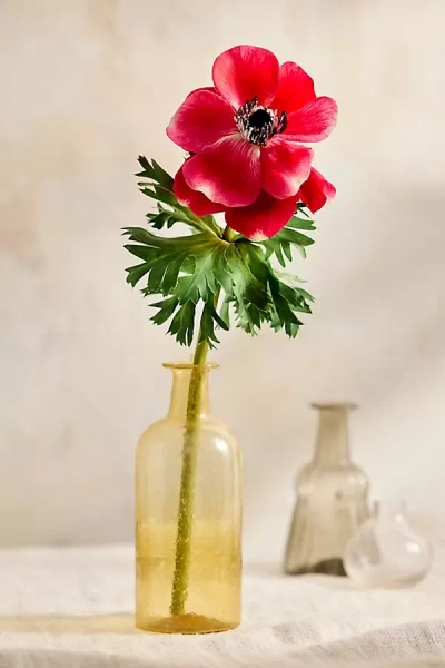 Terrain Faux Anemone Spray In Transparent