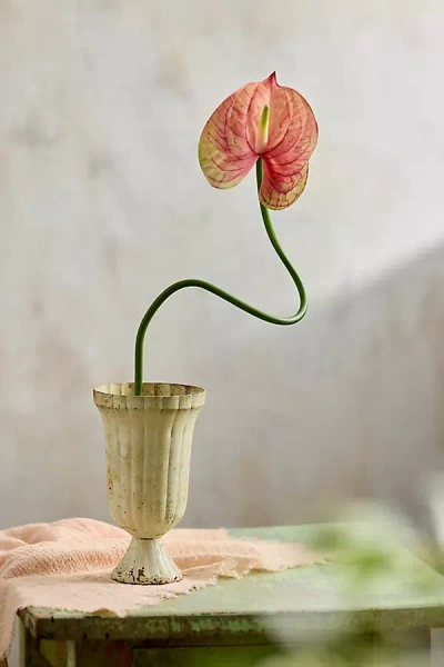 Terrain Faux Anthurium Stem