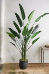 Terrain Faux Bird Of Paradise, 7'
