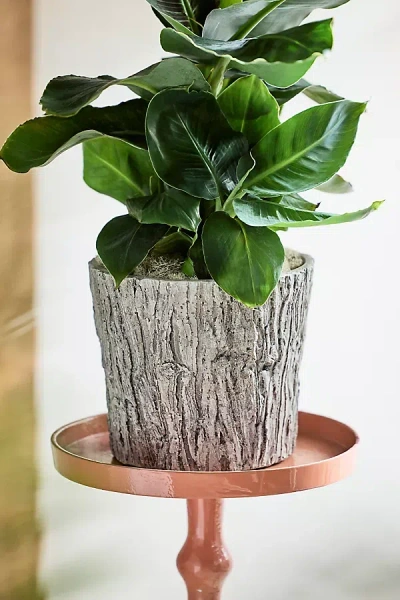 Terrain Faux Bois Taper Planter In Green