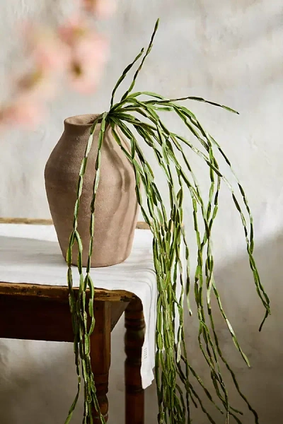 Terrain Faux Draping Succulent In Neutral