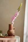 Terrain Faux Eremurus Stem