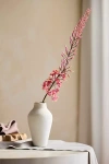 Terrain Faux Eremurus Stem