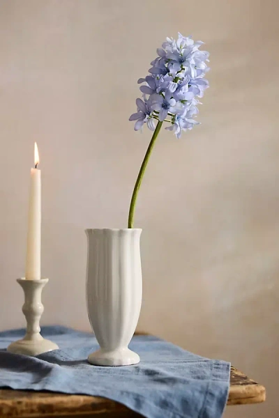 Terrain Faux Hyacinth Stem In Neutral
