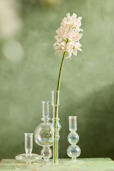 Terrain Faux Hyacinth Stem In Transparent