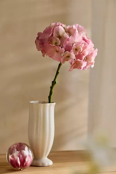 Terrain Faux Hydrangea Stem In White