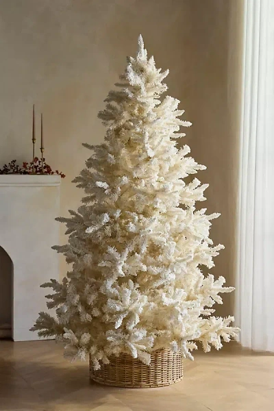 Terrain Faux Ivory Fir, 7.5' In White