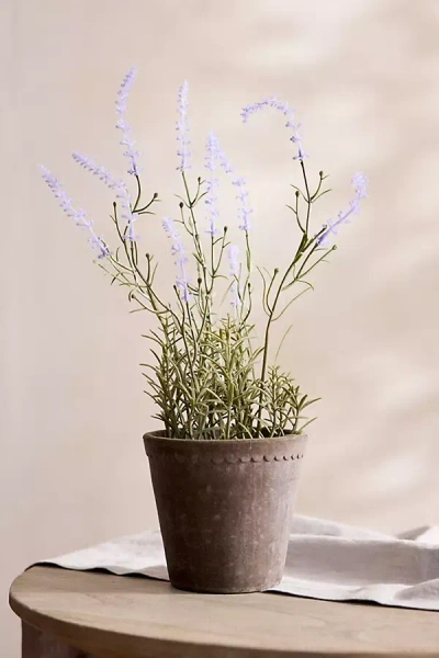 Terrain Faux Lavender Plant In Green