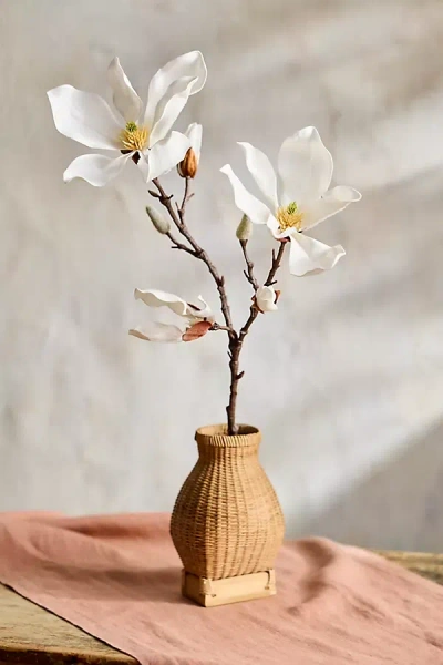 Terrain Faux Magnolia Spray In Brown