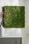 Terrain Faux Moss Wall Hanging