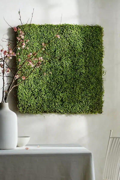 Terrain Faux Moss Wall Hanging In Green