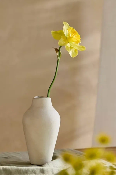 Terrain Faux Narcissus Stem, Yellow In Neutral