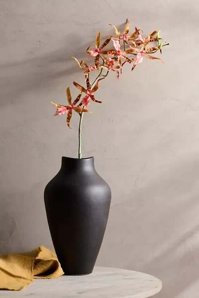 Terrain Faux Orchid Spray In Black