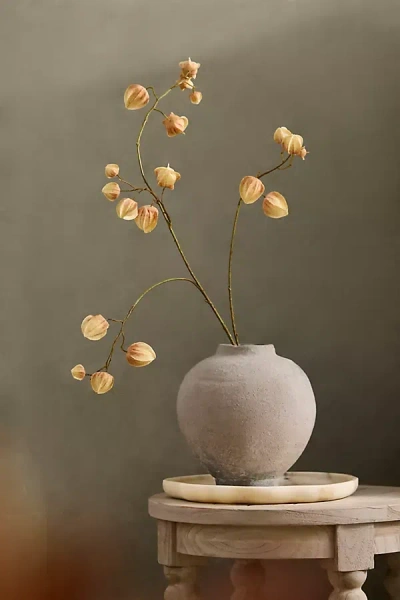 Terrain Faux Physalis Pod Spray In Brown