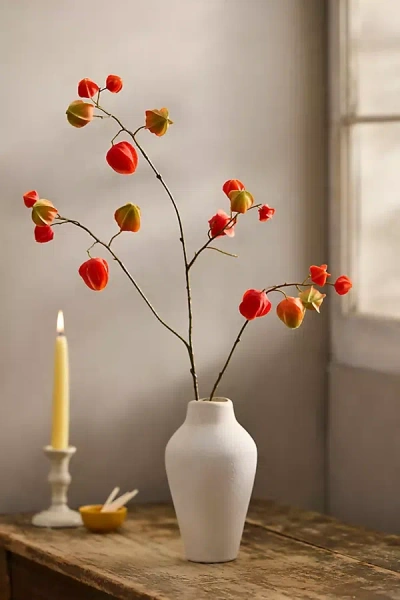 Terrain Faux Physalis Pod Spray In Neutral