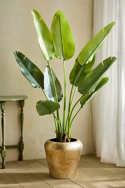 Terrain Faux Potted Bird Of Paradise Plant In Green
