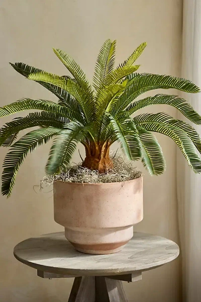 Terrain Faux Potted Cycas Palm In Green