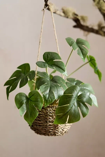 Terrain Faux Potted Monstera Plant In Red