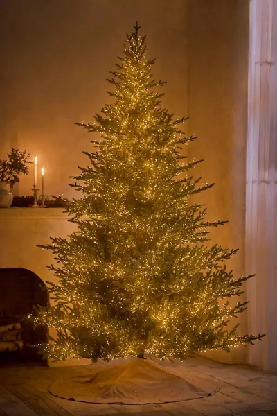 Terrain Faux Twinkling Pre-lit Norway Spruce In Gold