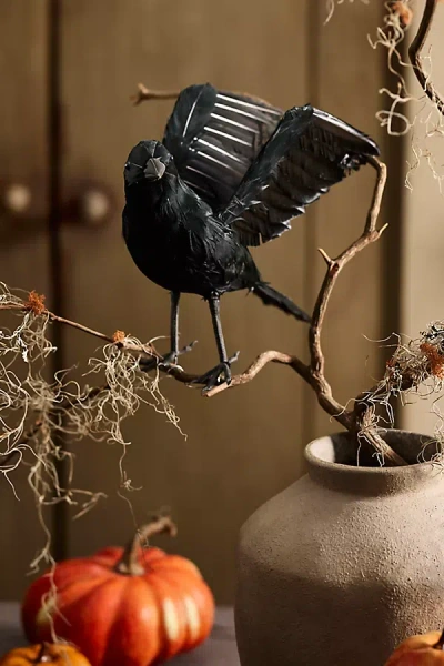 Terrain Feathered Crow Decorative Object